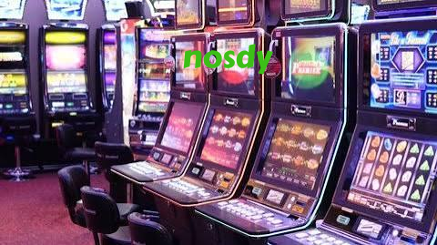 nosdy Live Sportsbook Markets at Your Fingertips